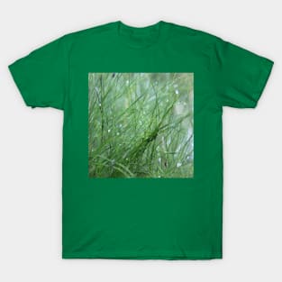 Water Droplets T-Shirt